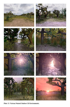 Plate 13 Thumbnail: Various Natural Outdoor 3D Environments